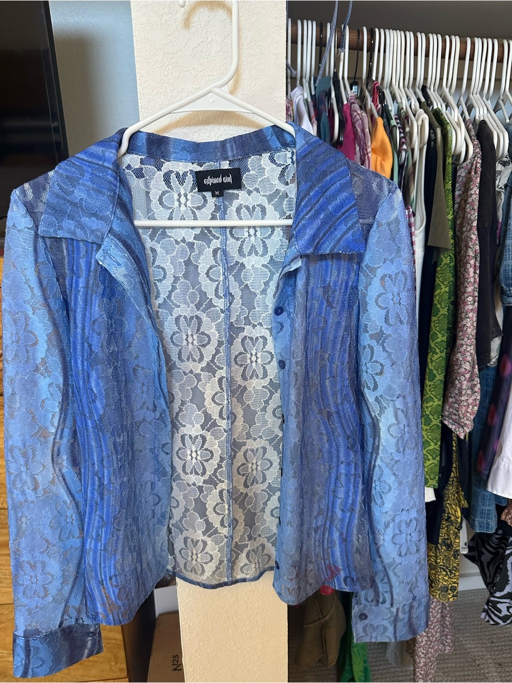 Affection Girl Sheer Blue Lace Long Sleeve Button-Front Top